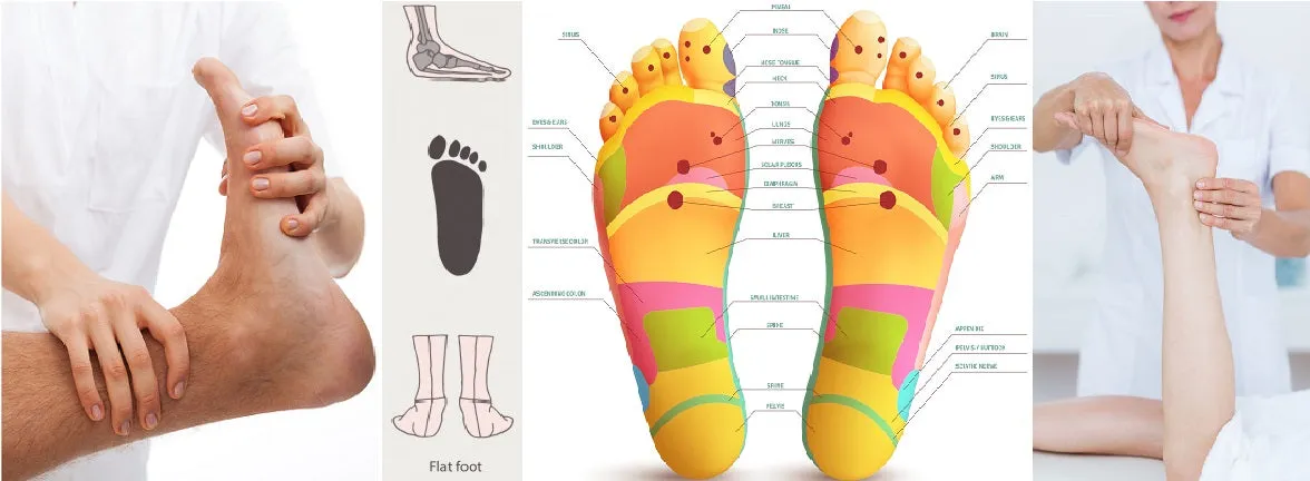 12 CE Foot Reflexology Basics with Advanced Medical Foot Massage