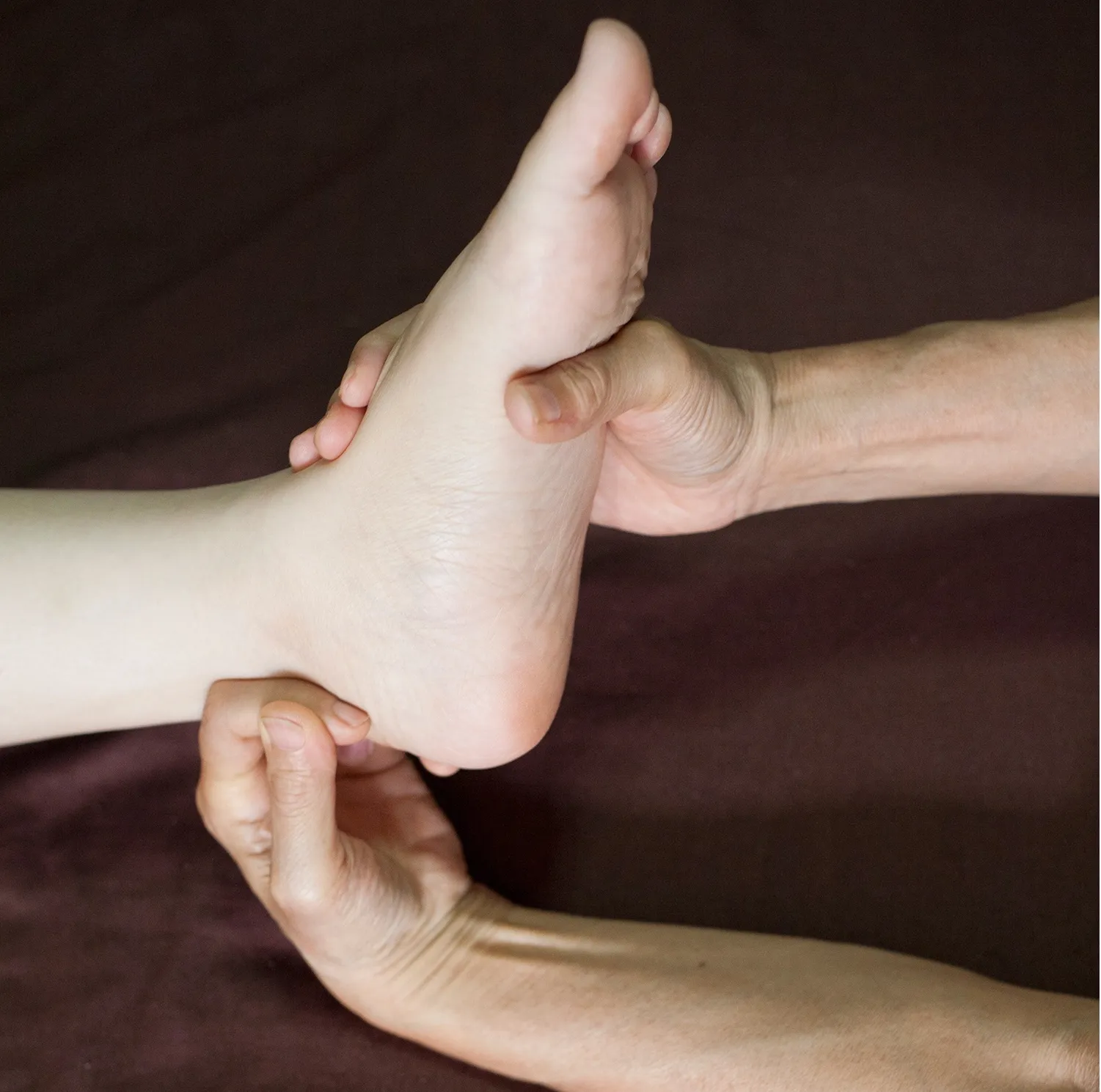 12 CE Foot Reflexology Basics with Advanced Medical Foot Massage