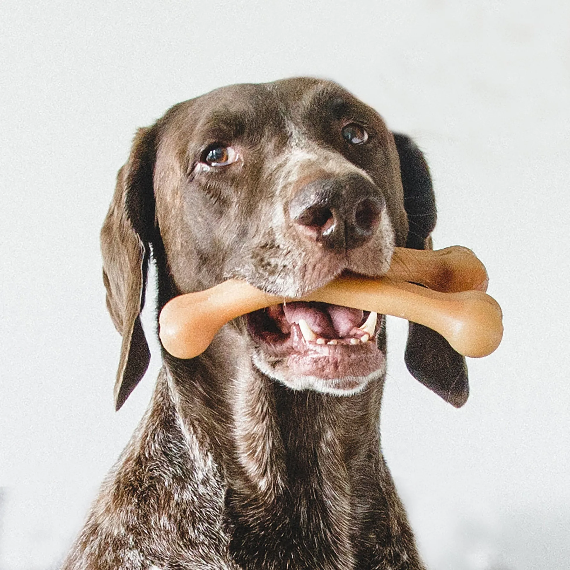 Benebone Wishbone Chicken Chew Toy