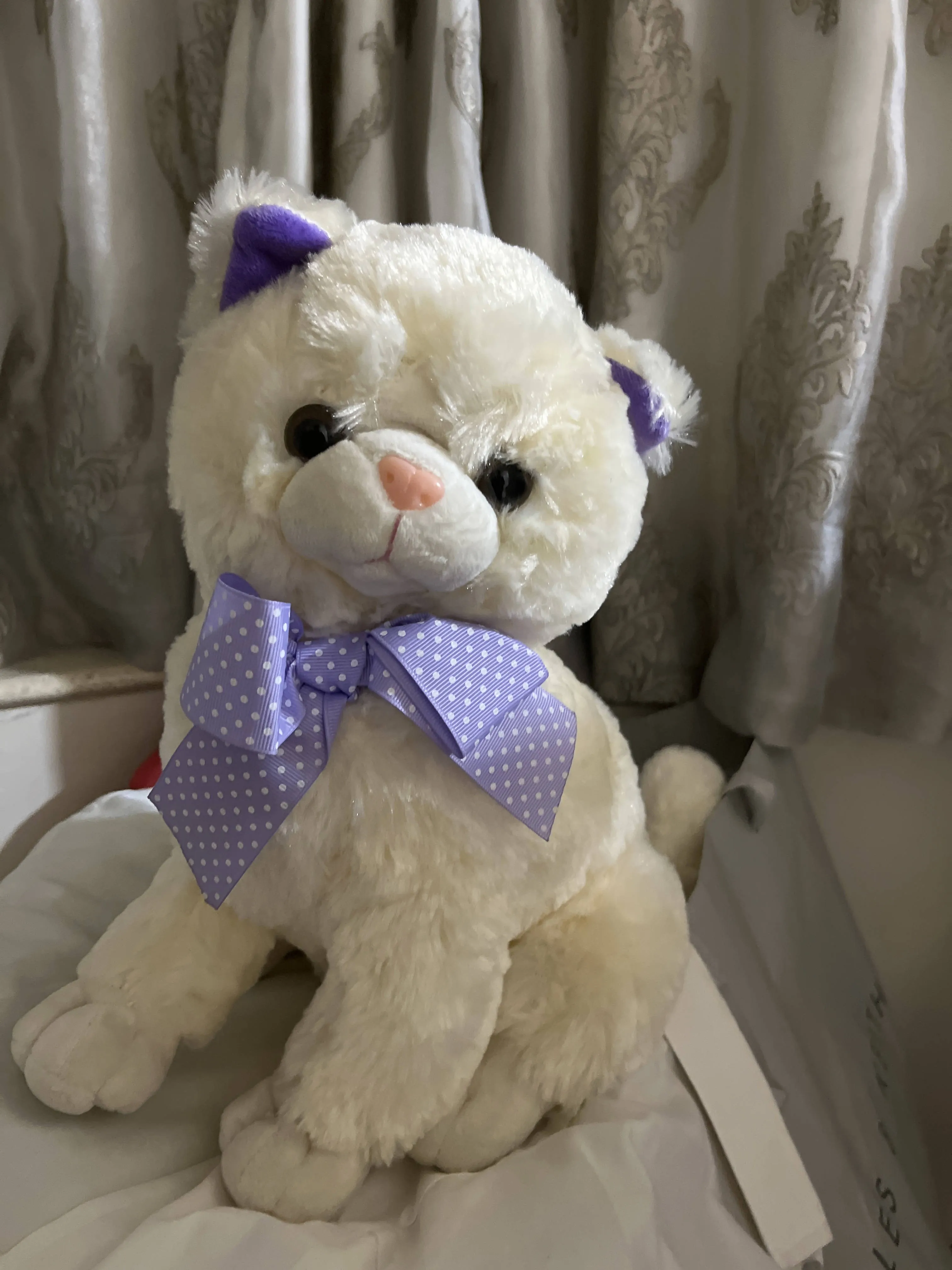 Cat Soft Toy