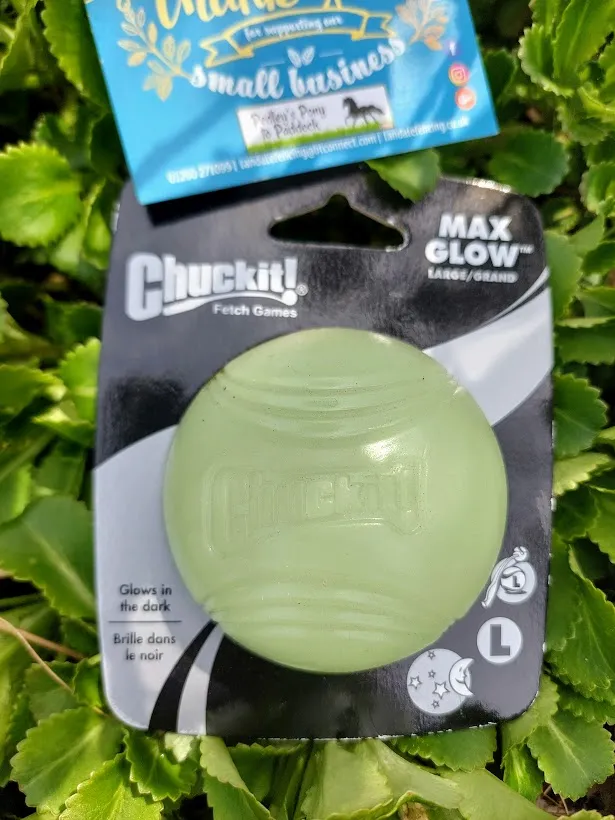 Chuckit Max Glow Ball