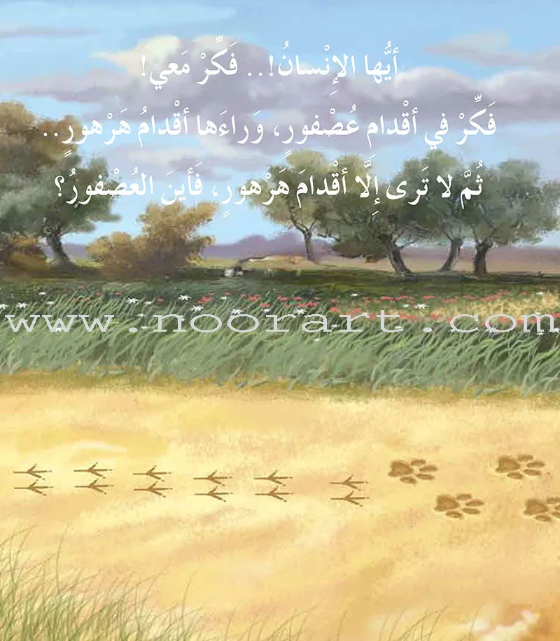 Contemplate With Anoos Stories - Love Series - Level 2 (8 Books, with Audio CD) منهاج تفكر مع أنوس سلسلة الحب