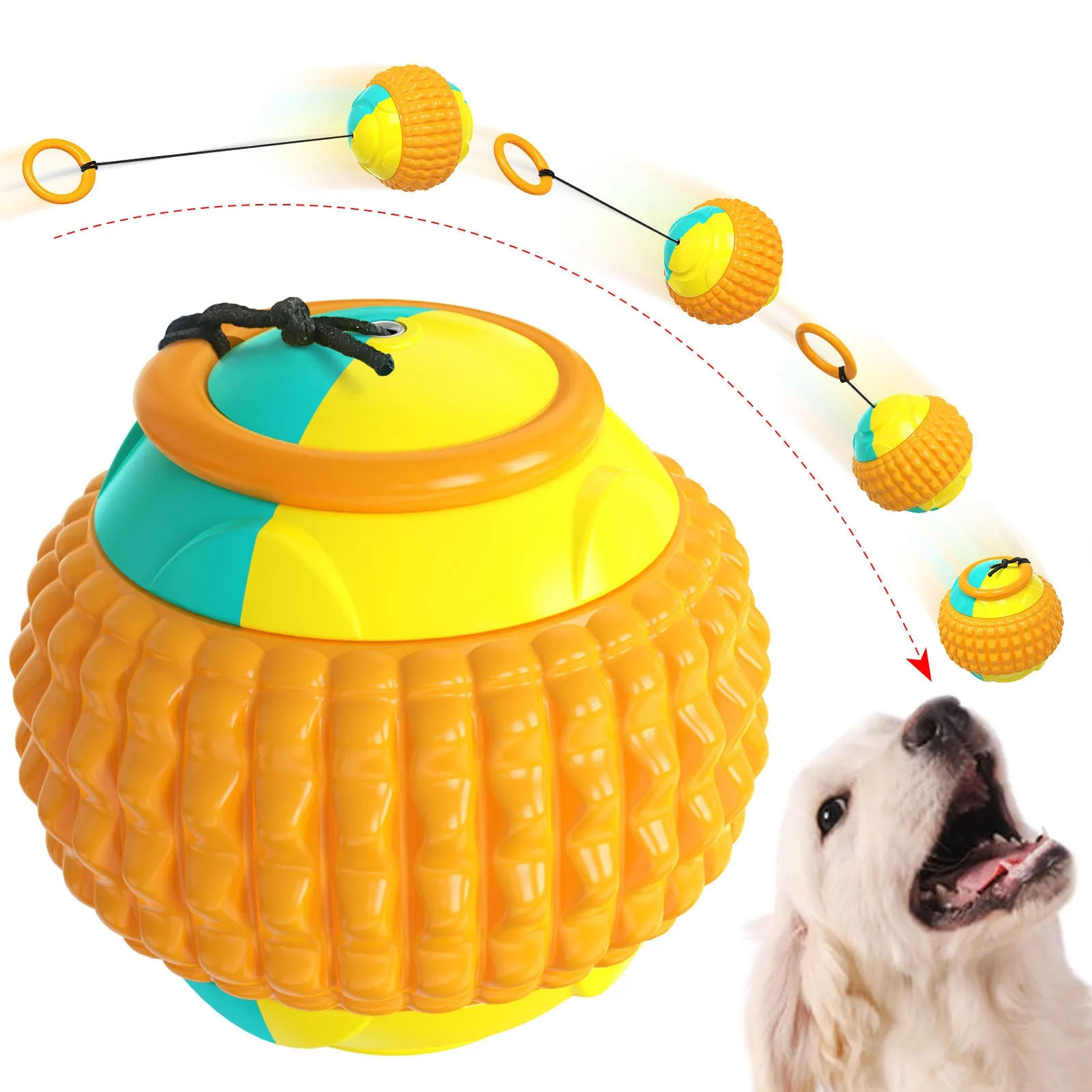 Dog Ball Toy