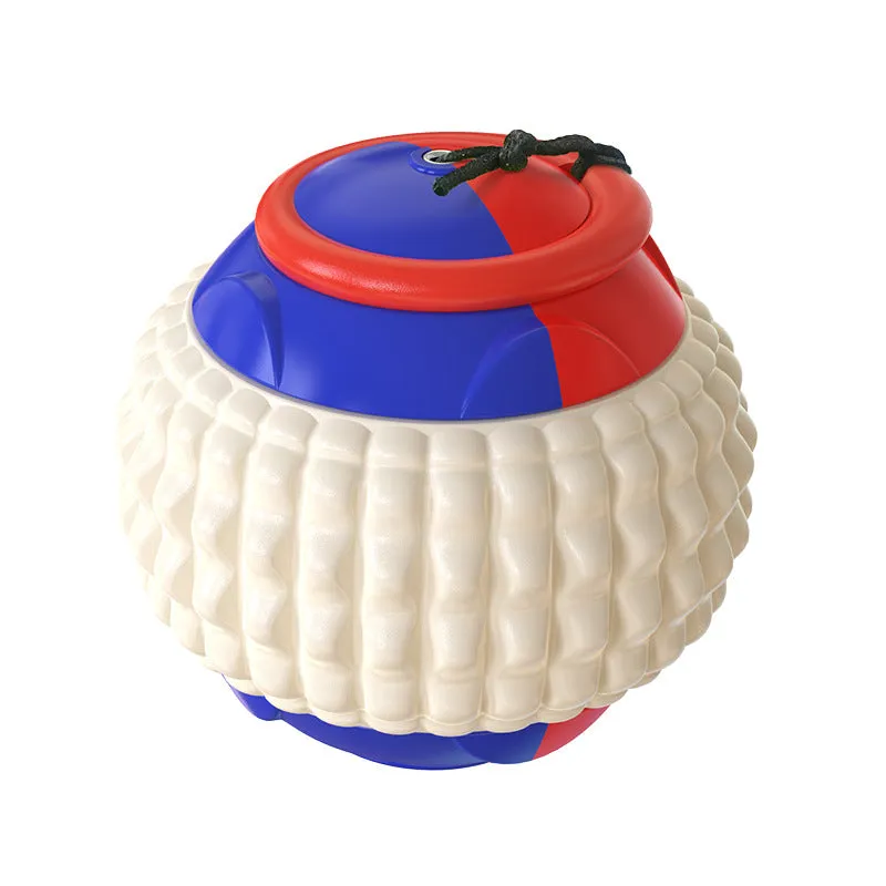 Dog Ball Toy