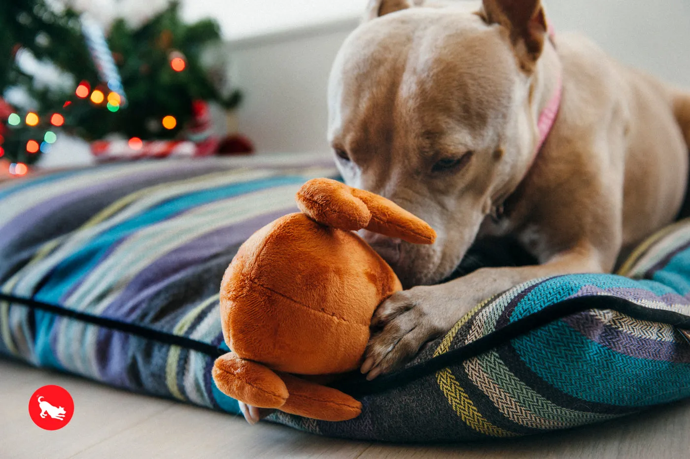 Dog Plush Toy -  Holiday Classic Collection