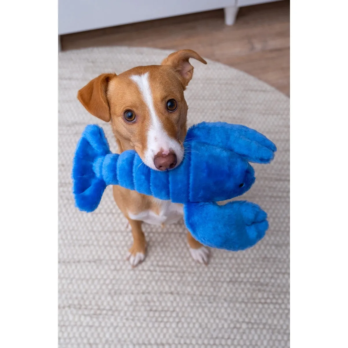 Fluff & Tuff Lucky Lobster Dog Toy