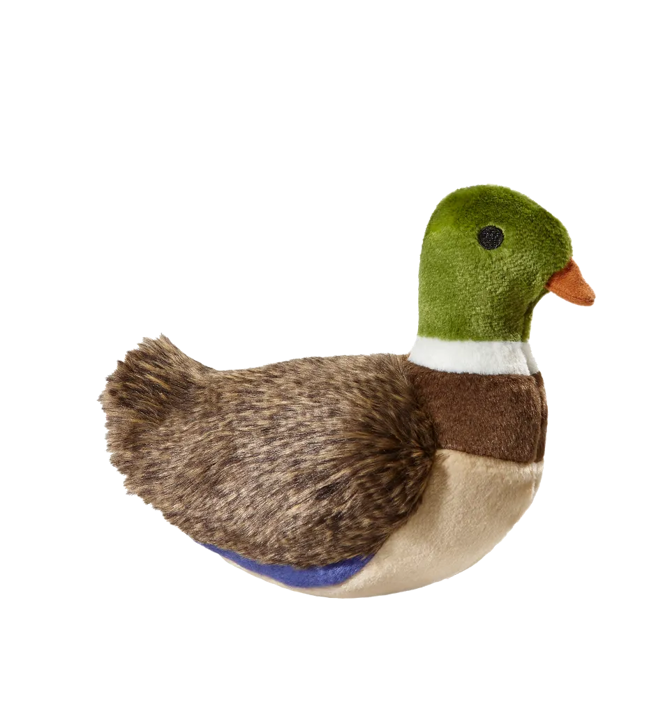 Fluff & Tuff Morley Mallard Plush Dog Toy - Wholesale