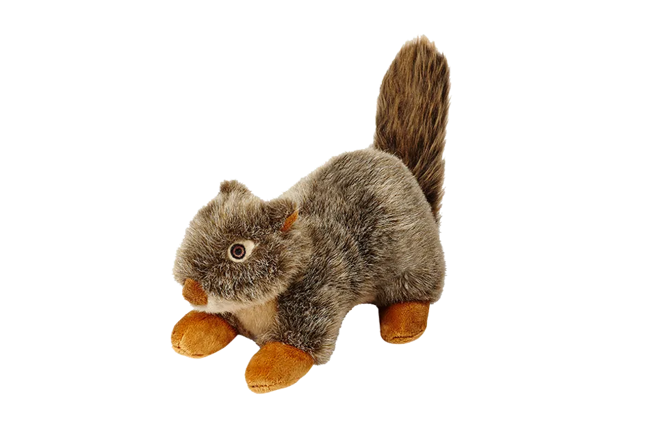 Fluff & Tuff Nuts Squirral Plush Dog Toy