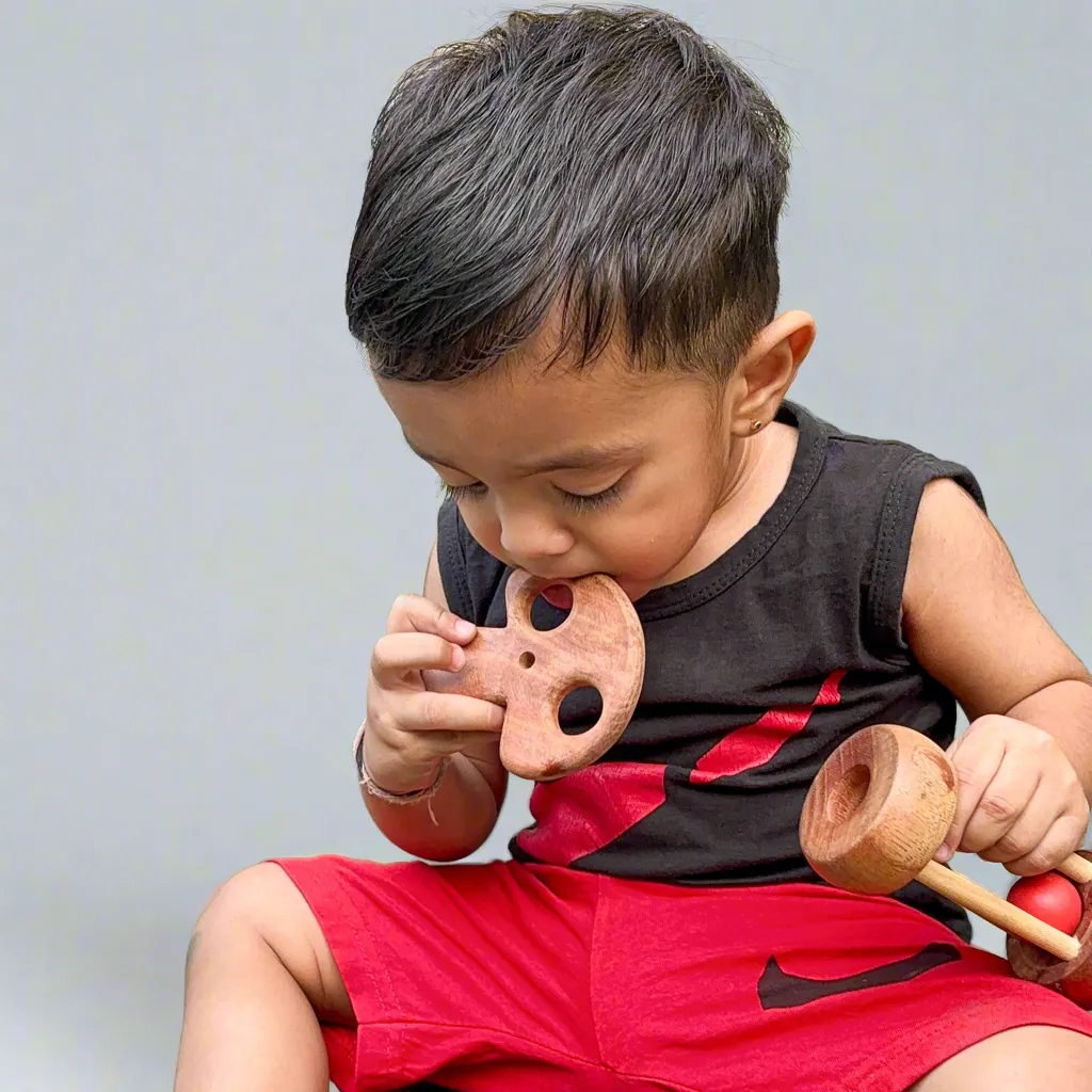 Fruit Teethers