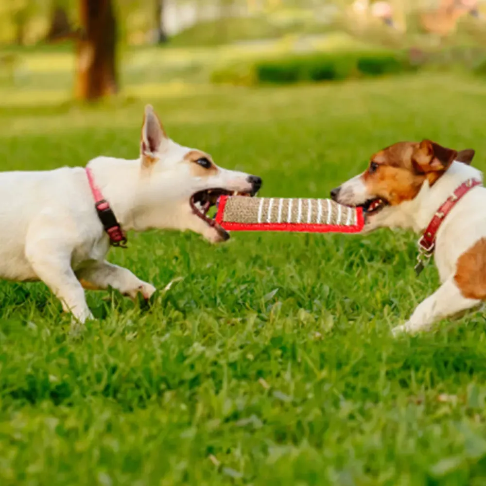 Jaoseko Dog Training Chew Toys - Durable Linen Bite Rods for Teeth Grinding and Interactive Play