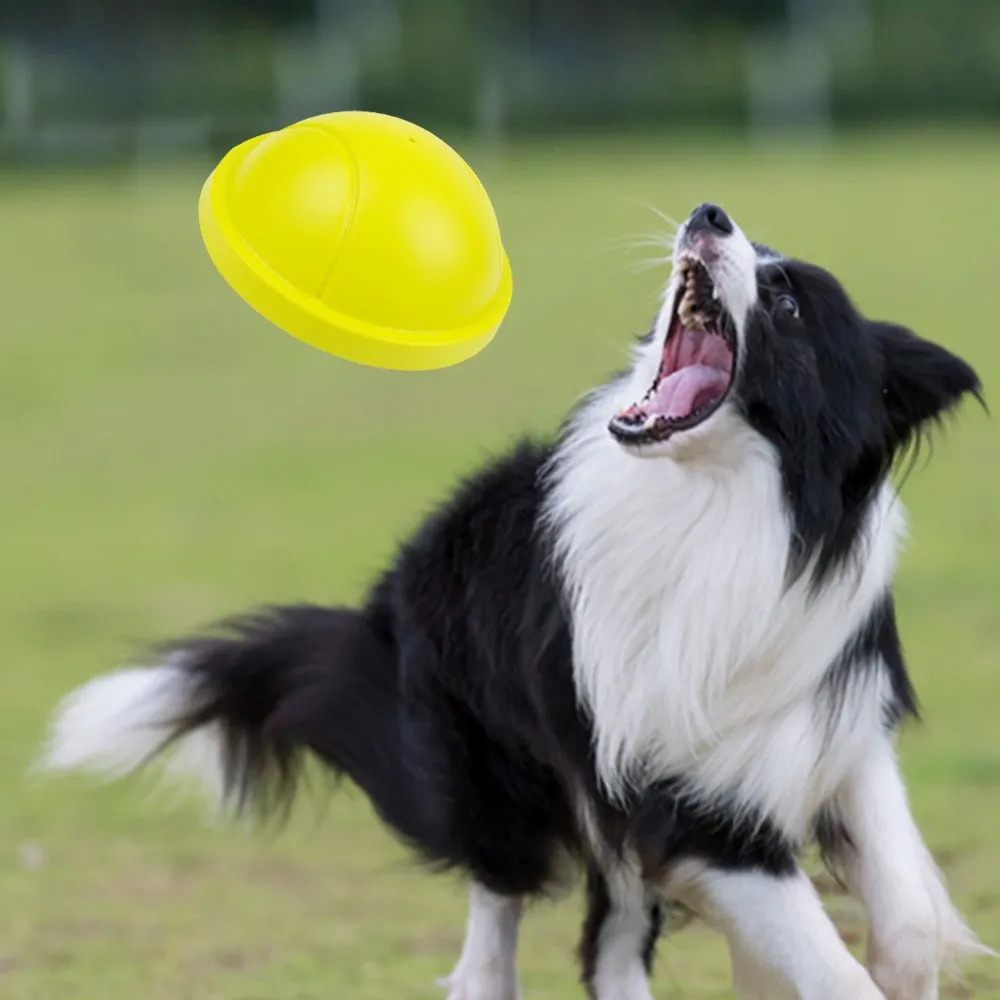 K9 Slider With Squeaker Pet Toy