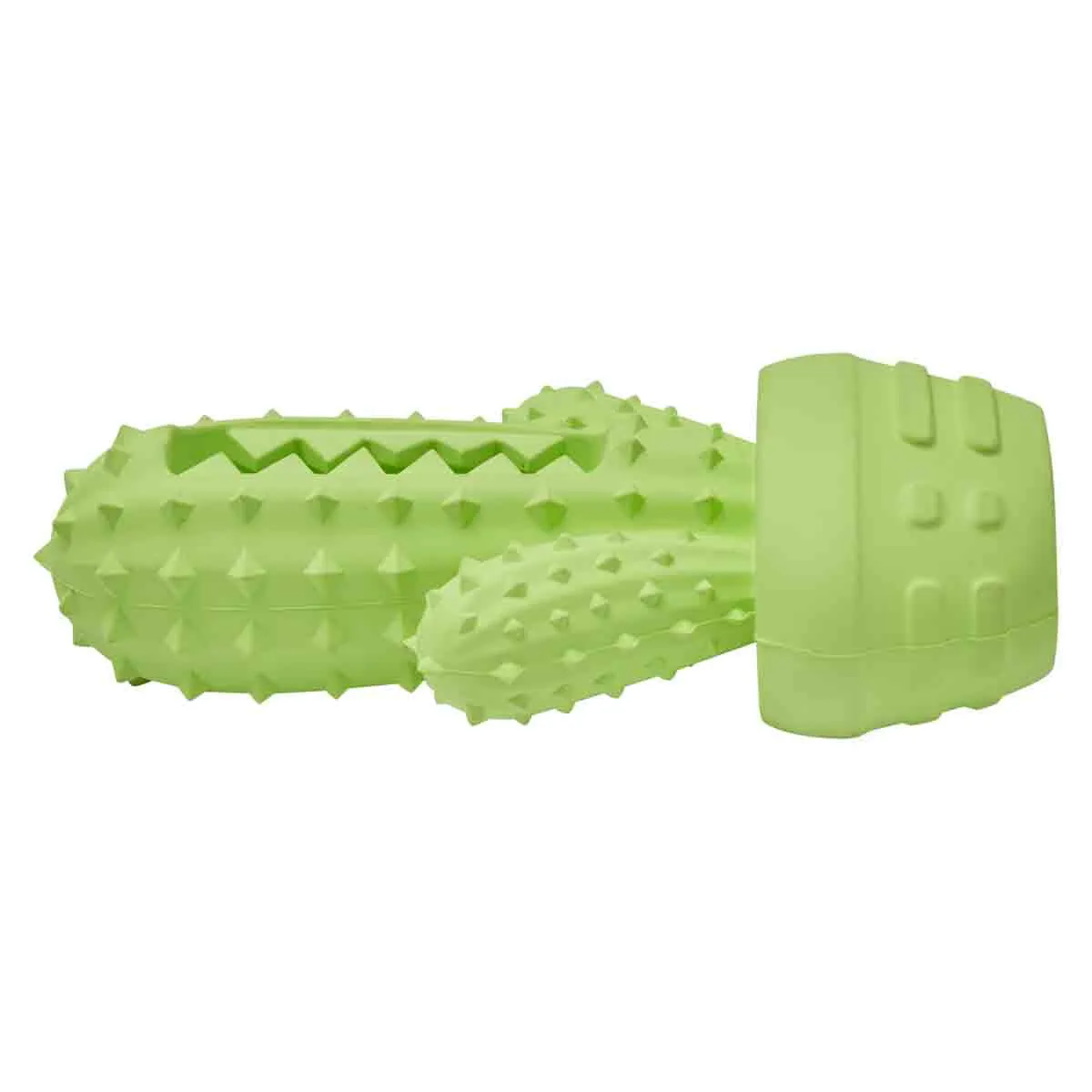 Lexi & Me Dental Cactus Rubber Dog Toy