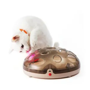 NEW! Interactive Magnetic Glide Cat Toy