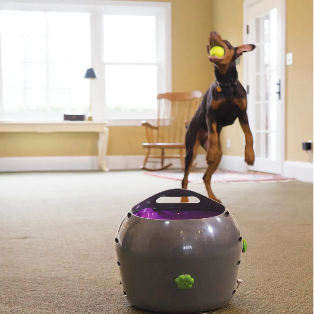 PetSafe® Automatic Ball Launcher