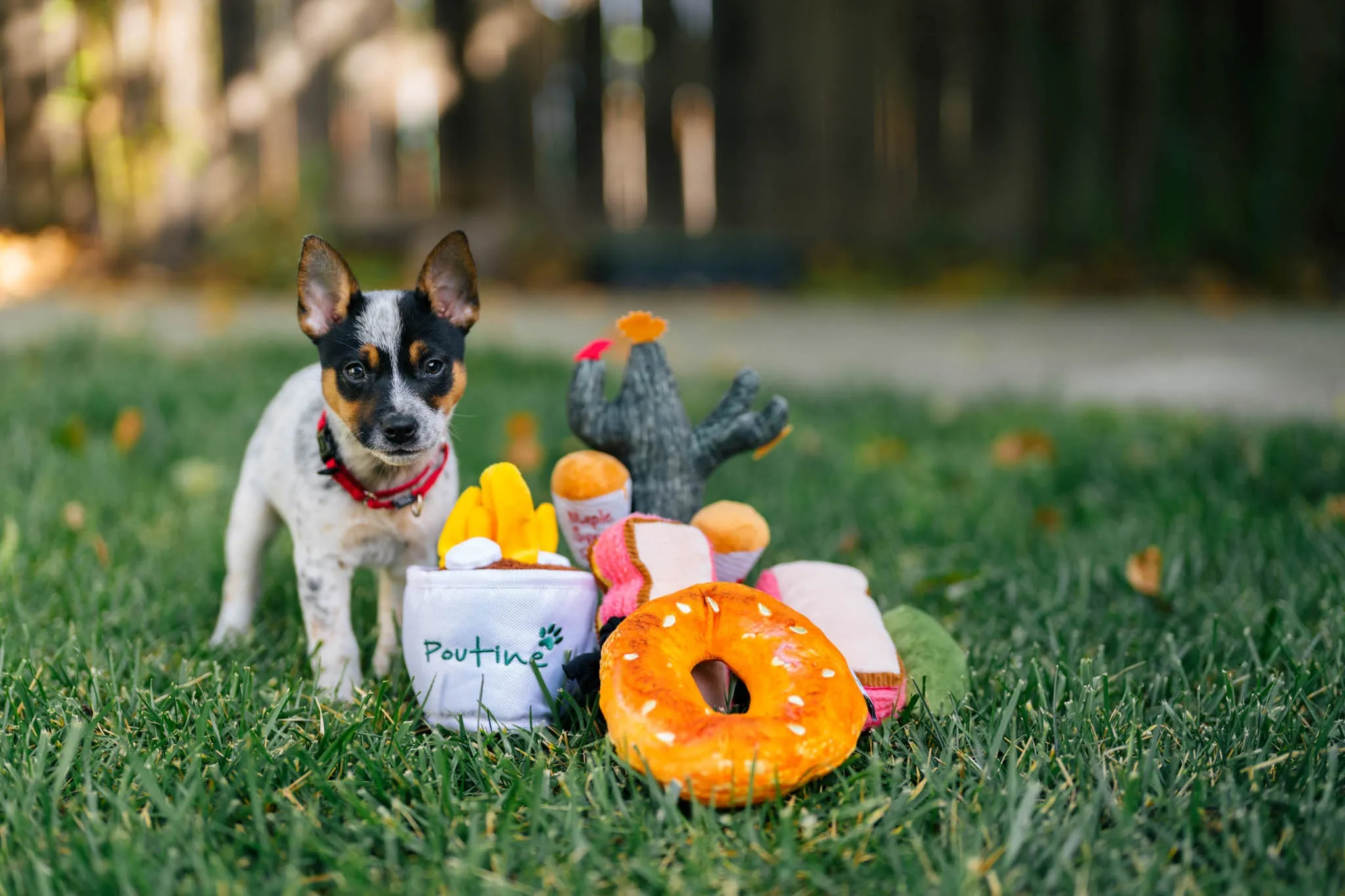 P.L.A.Y. Montreal Munchies Squeaky Plush Dog toys, Mon-treat-al Smoked Meat Sandwich