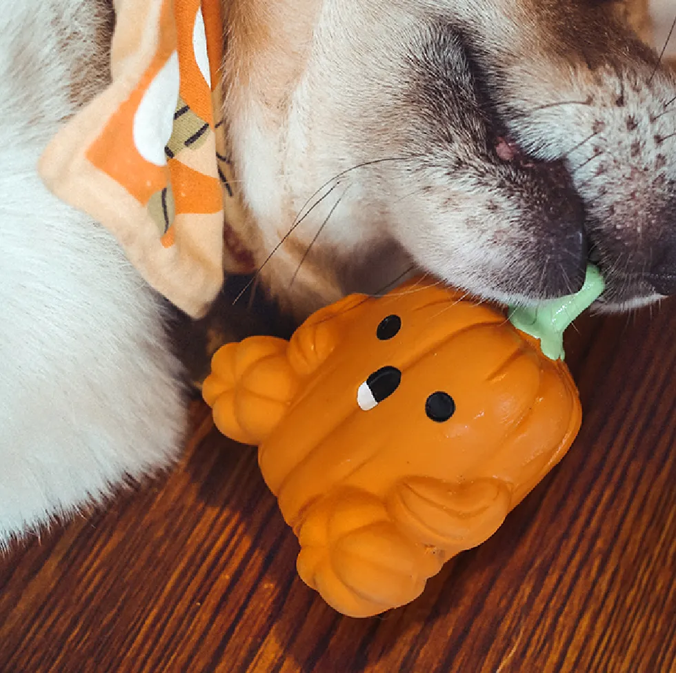 Pumpkin Rubber Dog Toy