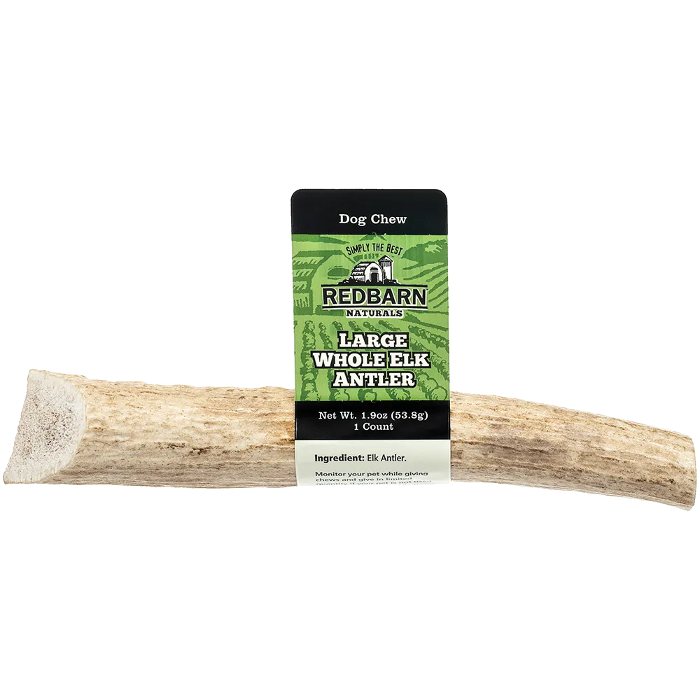 Redbarn Whole Elk Antler