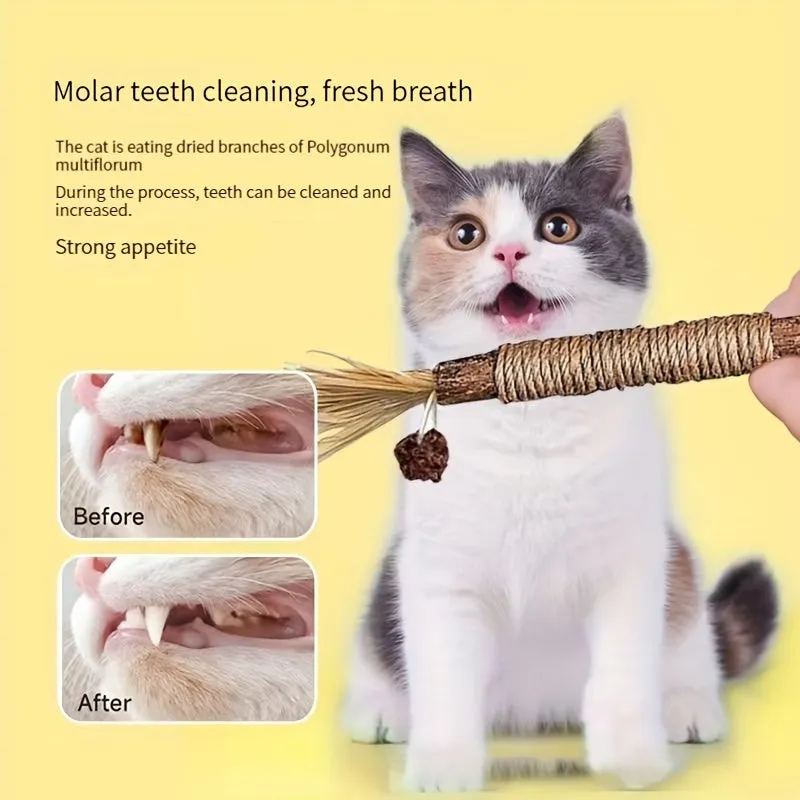 Revolutionary Cat Toys Teeth Care Fresh Breath Playful Fun