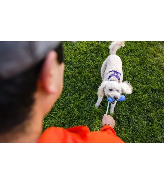 Ruffwear Gourdo™ Interactive Rubber Throw Dog Toy (Sage Green)