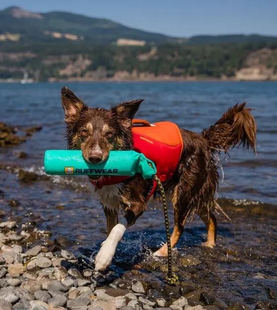 Ruffwear Lunker™ Interactive Floating Throw Dog Toy (Aurora Teal)