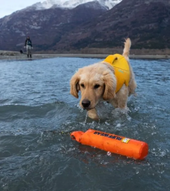 Ruffwear Lunker™ Interactive Floating Throw Dog Toy (Campfire Orange)