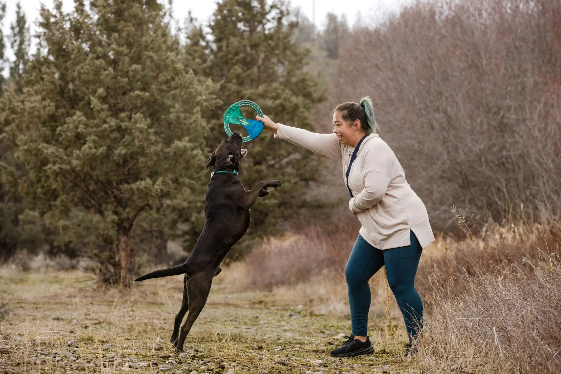 Ruffwear Pacific Ring Dog Toy