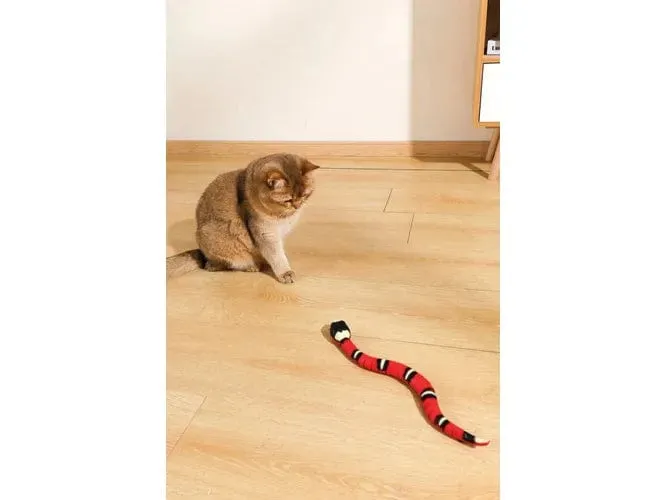 Sneaky Snake Interactive Cat Toy