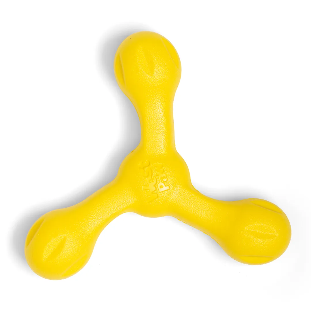 Toss and Fetch Dog toy, Zogoflex Echo Skamp (New Colours)