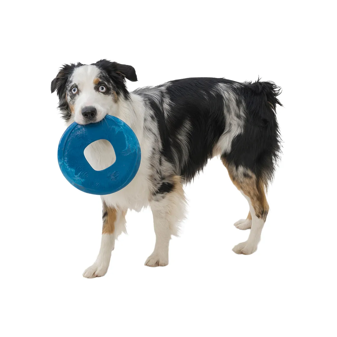 West Paw BPA-Free Sailz Float Toy for Dogs