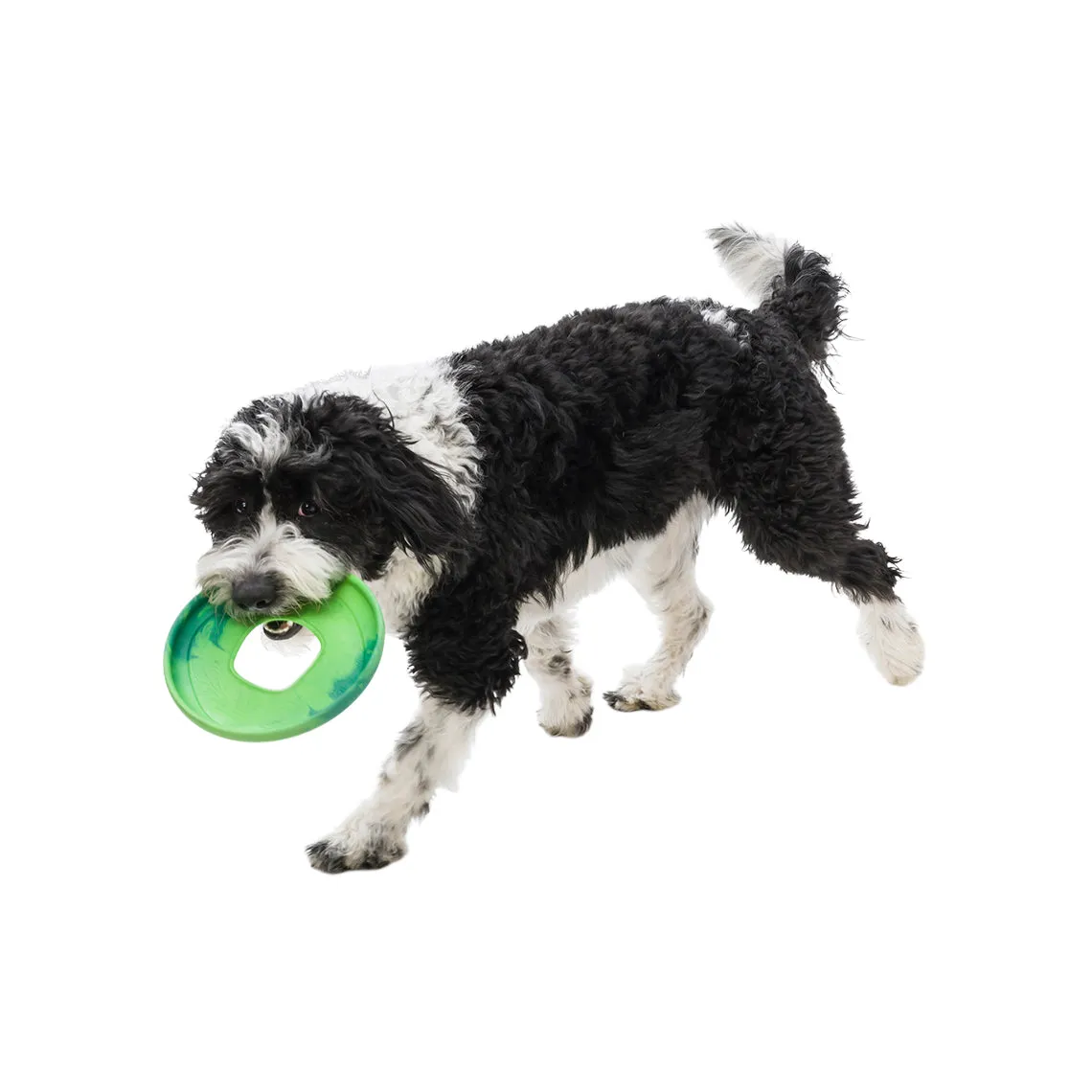 West Paw BPA-Free Sailz Float Toy for Dogs