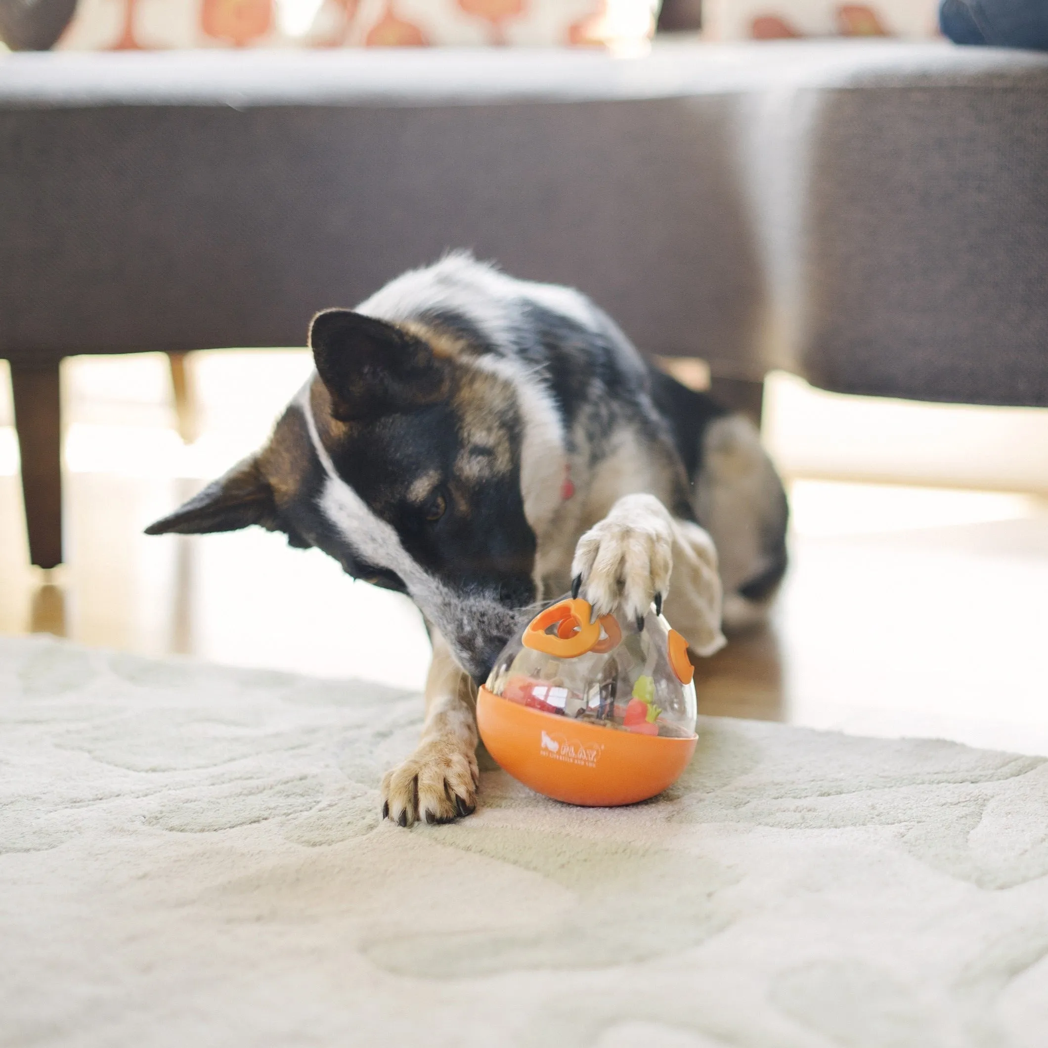 Wobble Ball 2.0 Dog Toy